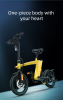 KAIXIN H1 Foldable Electric Bike 250W 36V 10AH 14 Inches Tire Electric Bike With Pedal Assist 100KG Load